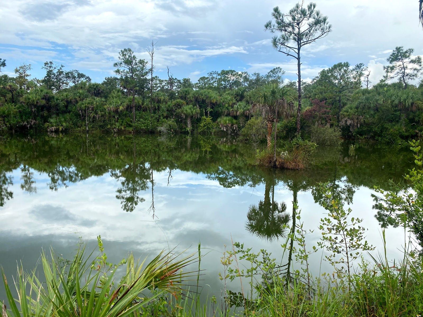 Bear Island Campground