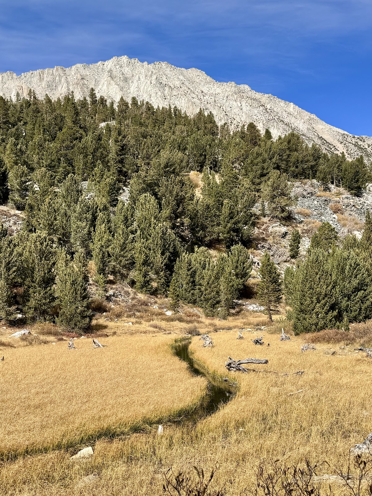 Mosquito Flat Trailhead walk in Campground