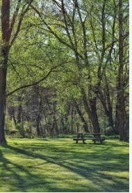 Mountain Retreat RV Park