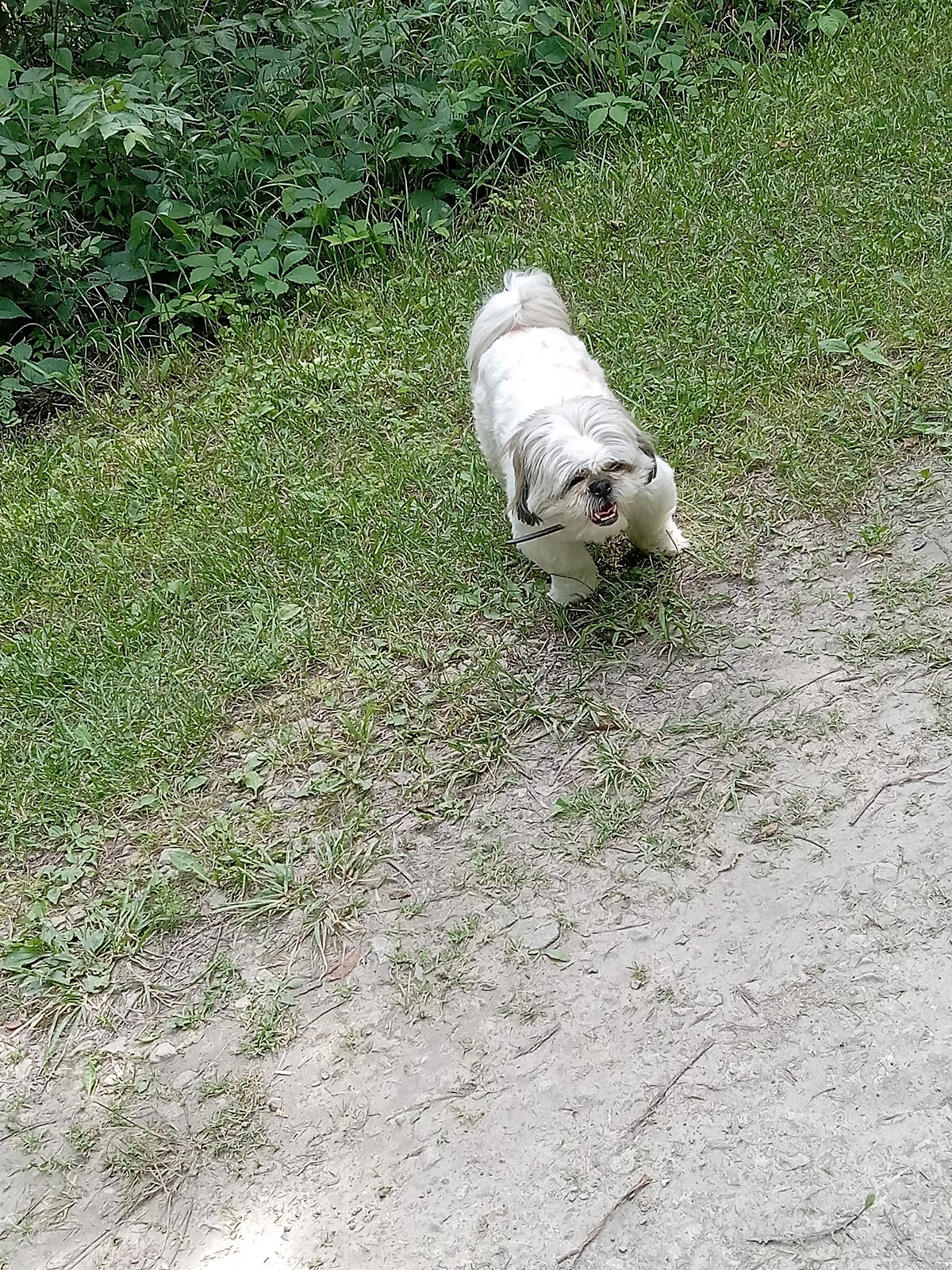 Manlove Park Camping