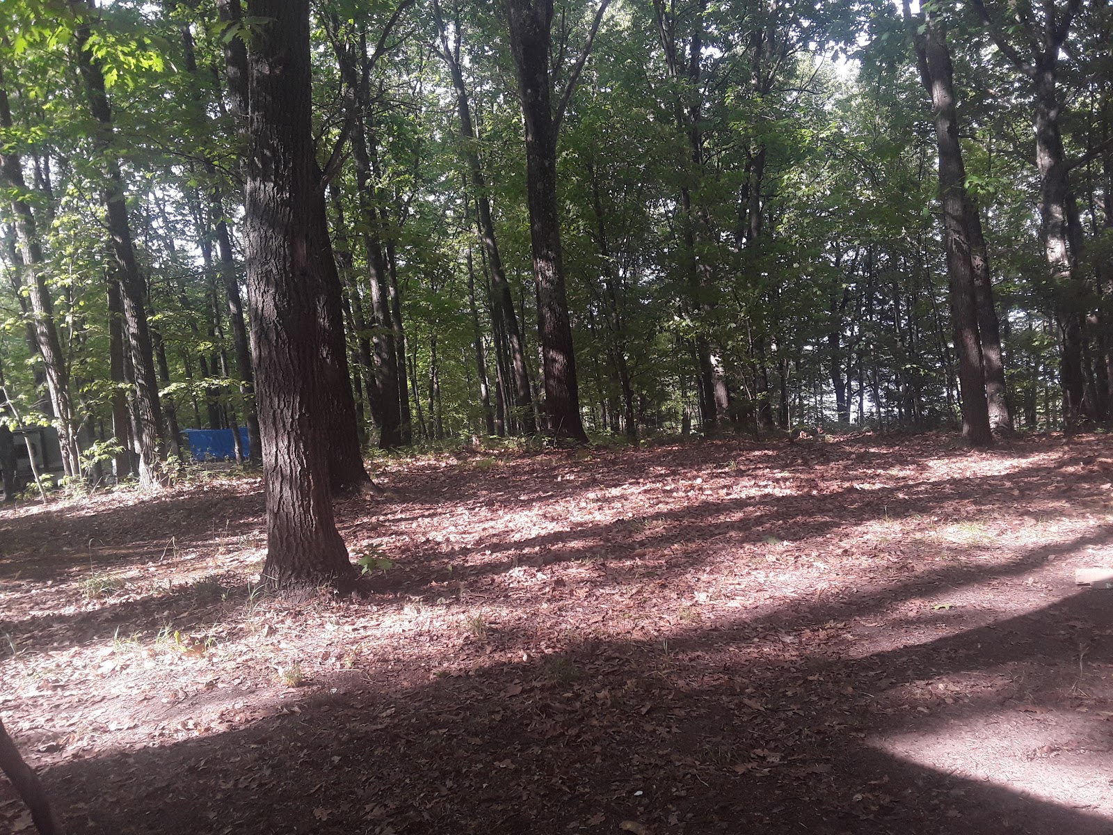 Lake Dubonnet SF Campground