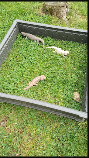 Melody Lakes RV and Mobile Home Community