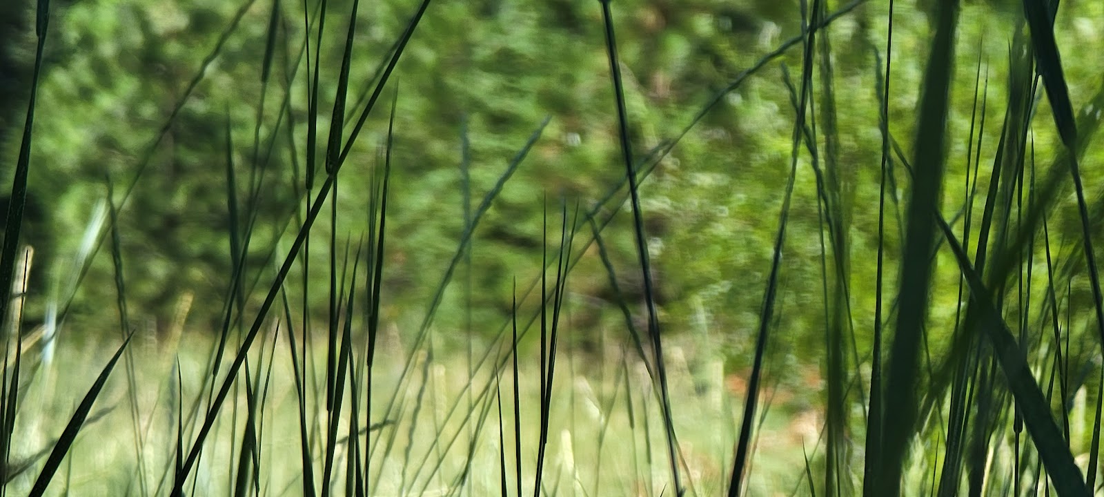 Eightmile Crossing Campground