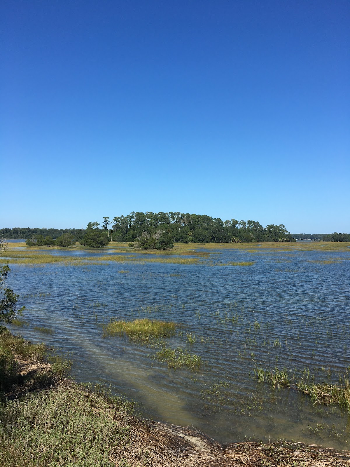 Skidaway Island State Park