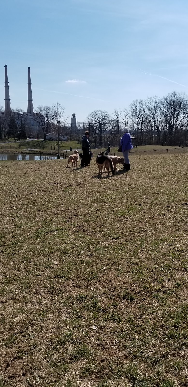 New Albany Dog Park