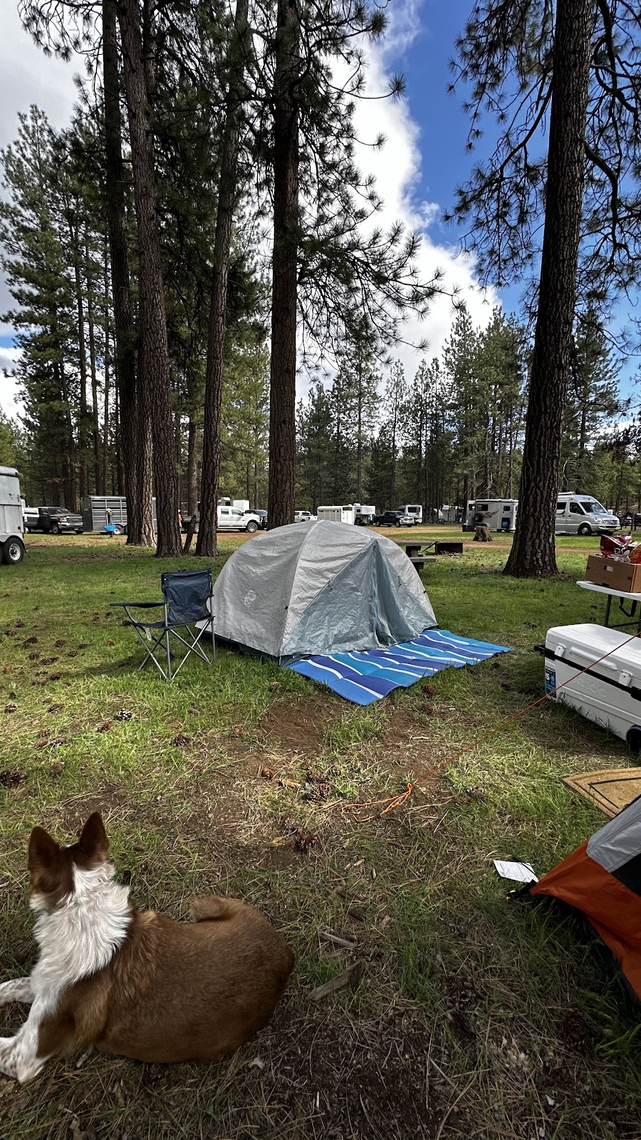 Sisters Cow Camp Horse Camp