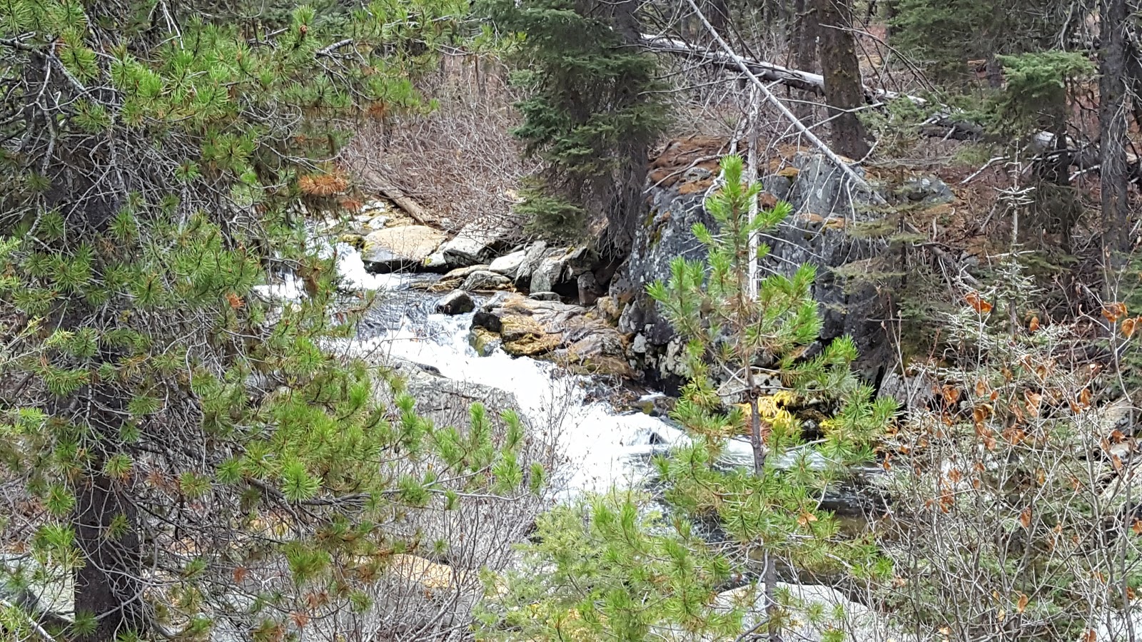 Kennally Creek Campground