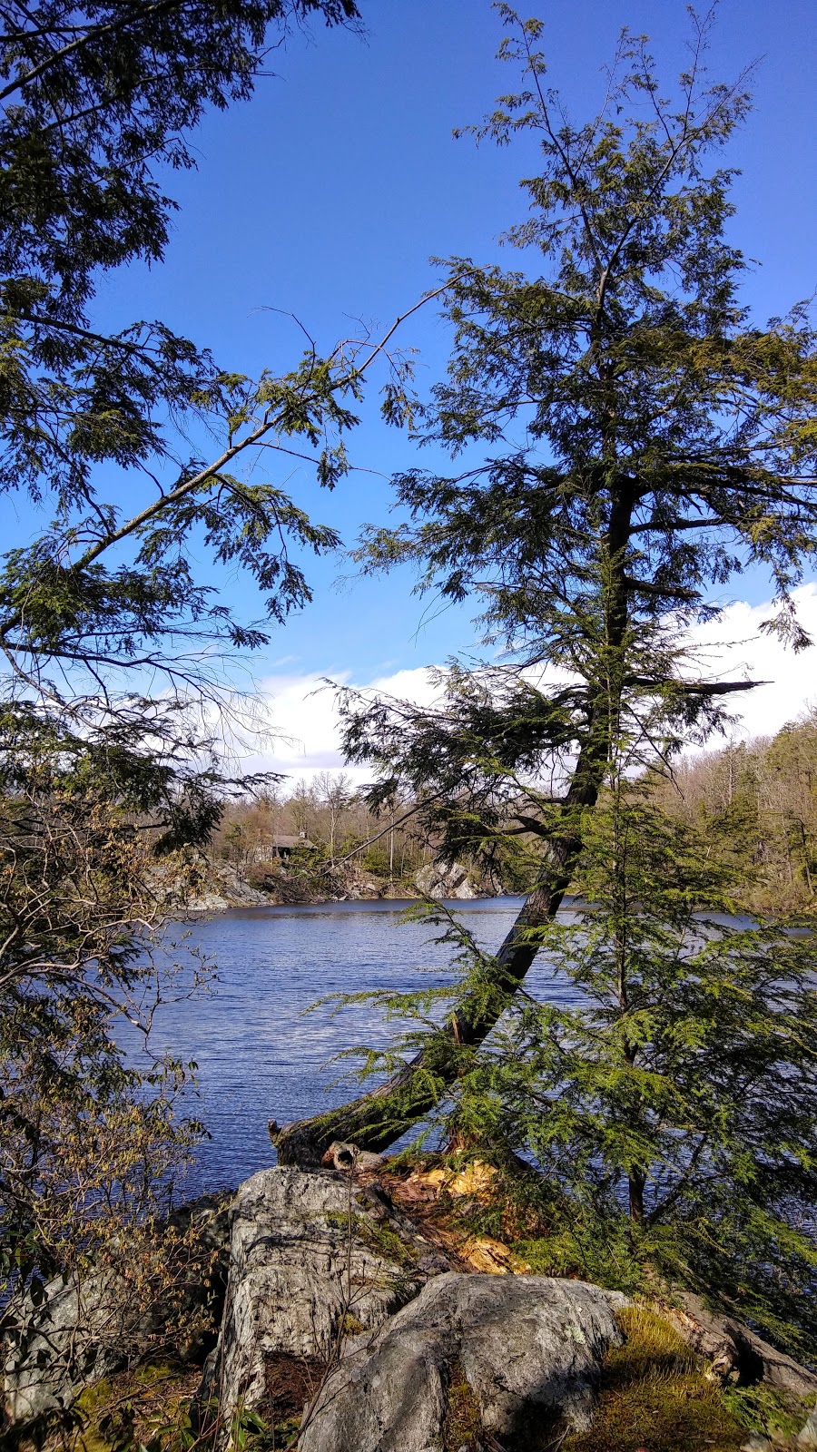 Pelton Pond - Clarence Fahnestock State Park