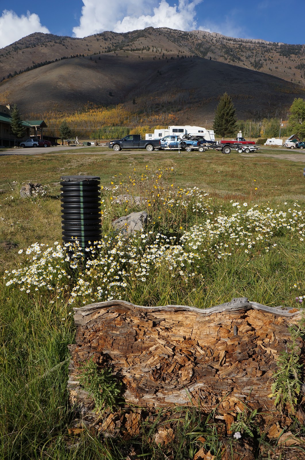 Jareds Wild Rose Ranch Resort