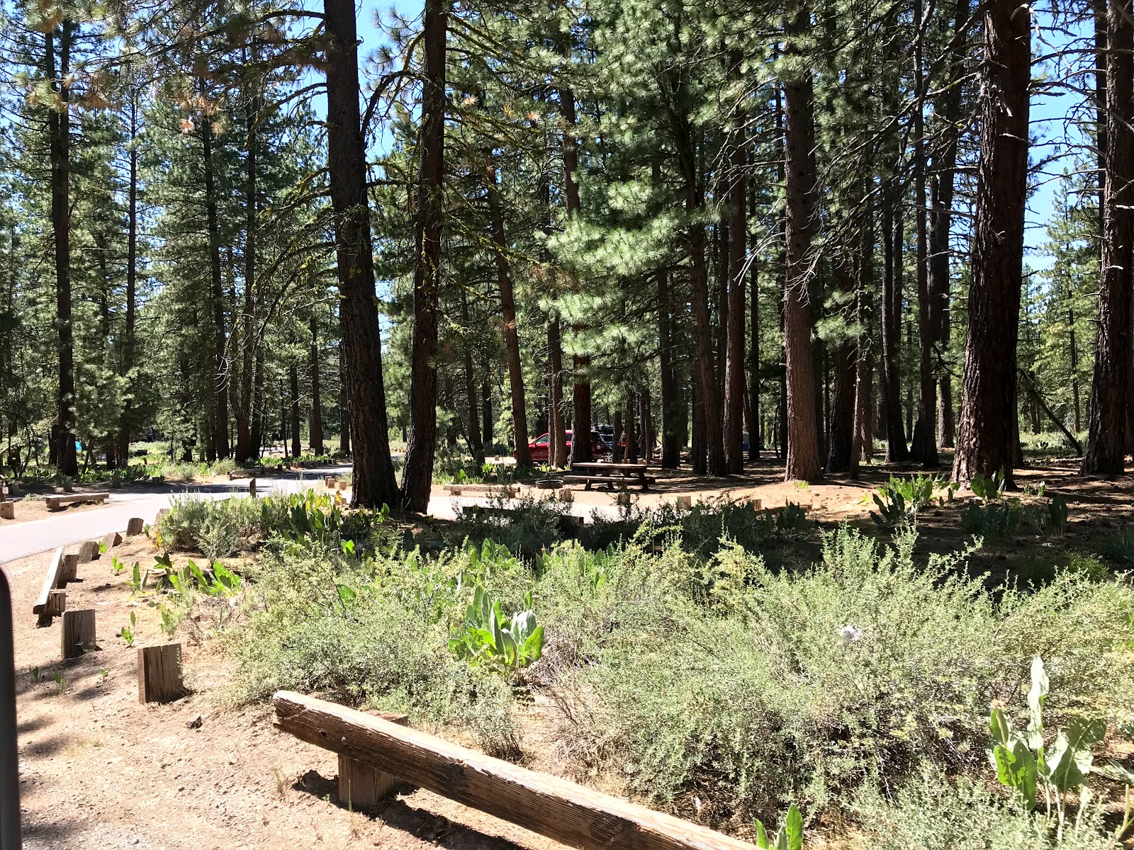 Lightning Tree Campground