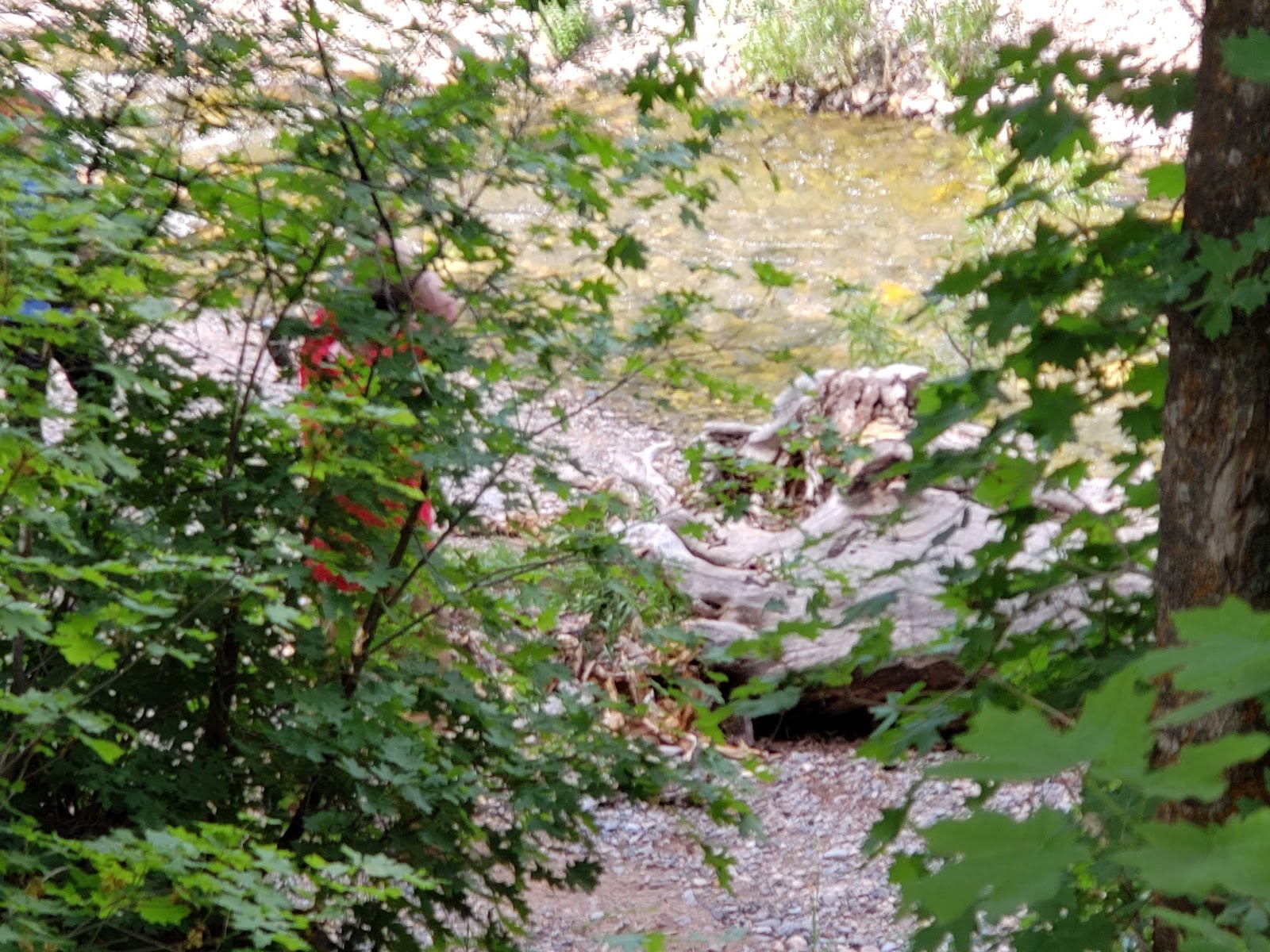 Cottonwood Campground