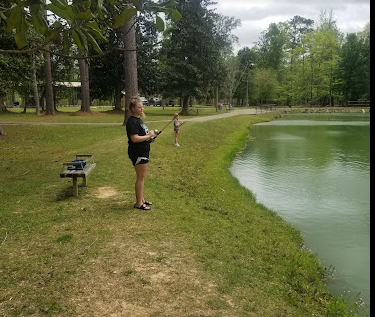 Magnolia Ridge Camping