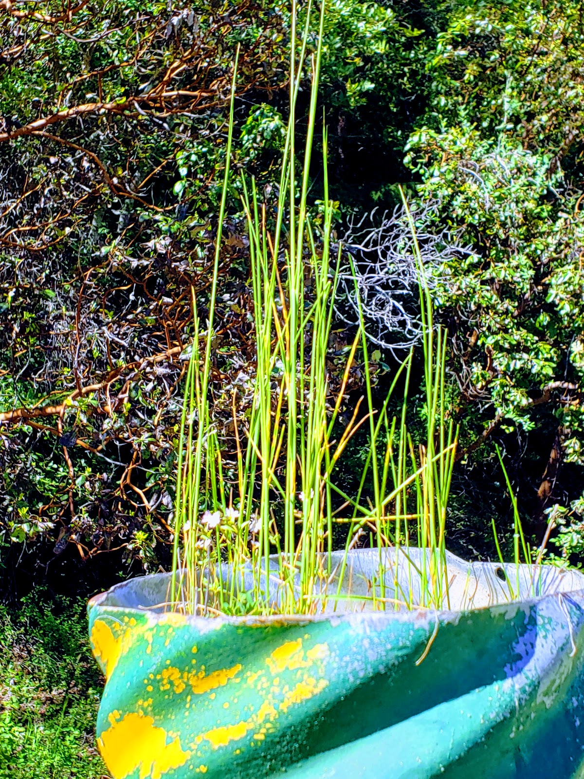 Nordheimer Campground