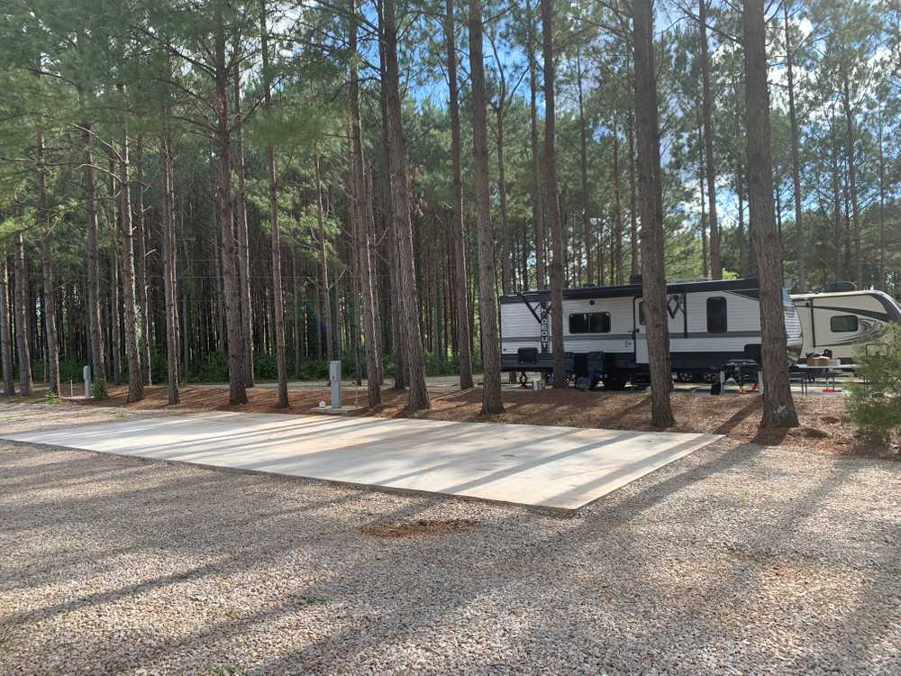 American Robin RV Park and Bird Sanctuary