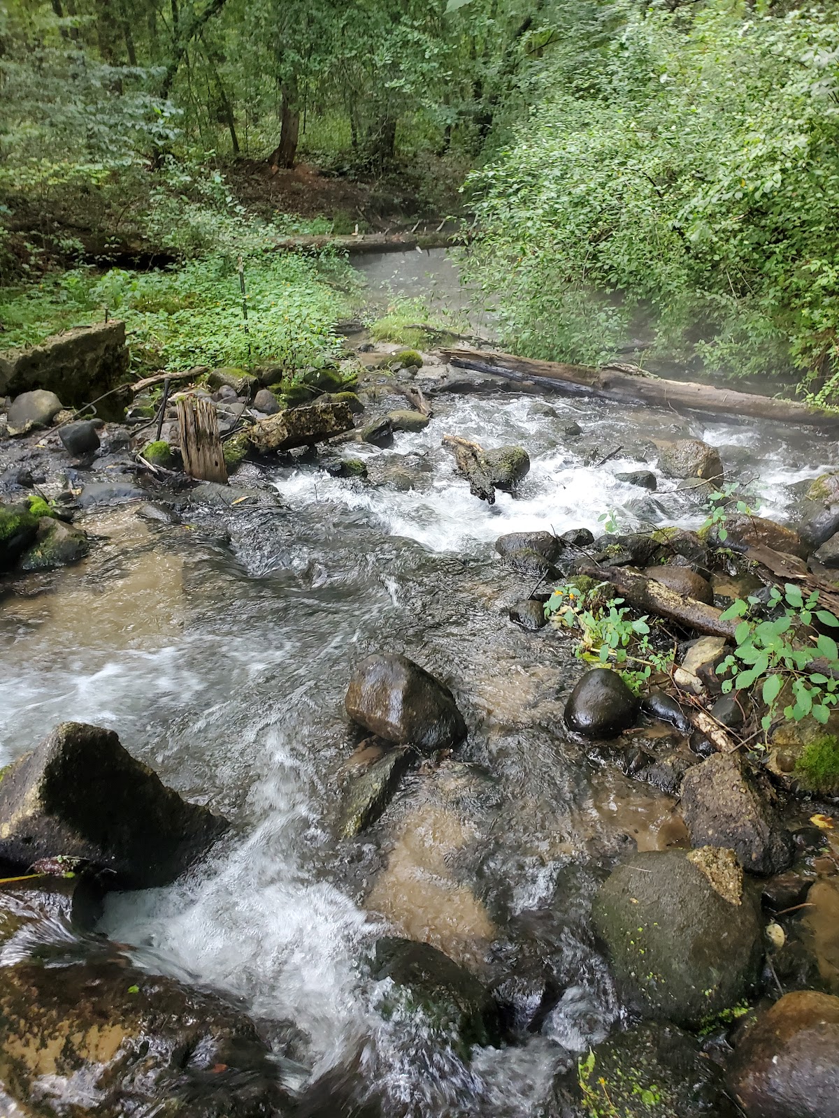 Silver Creek Park and Campground