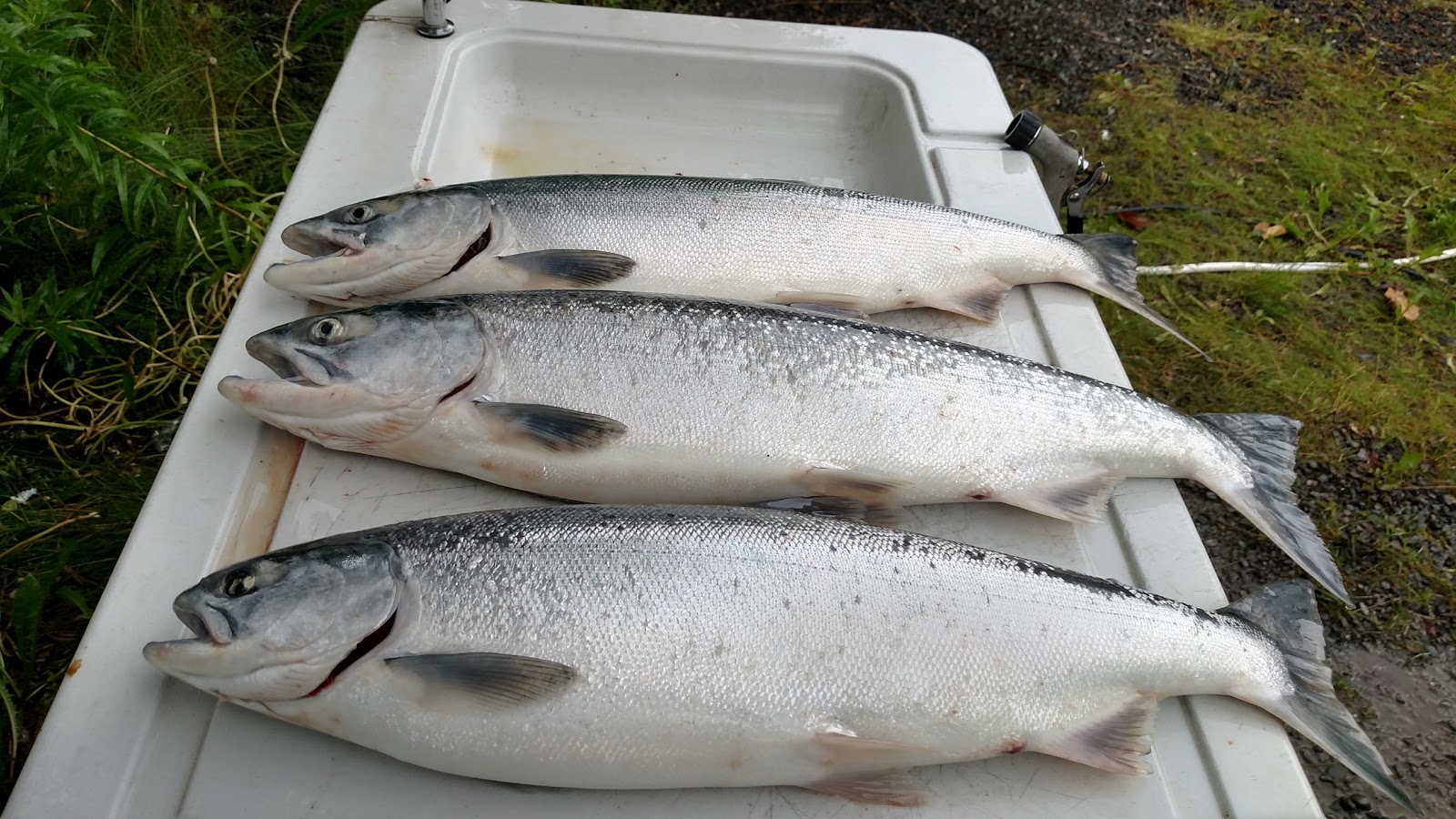 River Terrace Campground