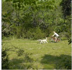 Long Hunter State Park