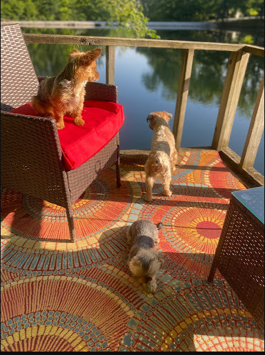 Indian Oaks Campground