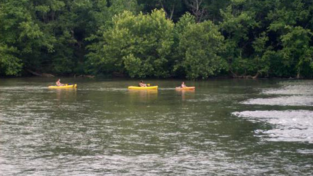 Banks Farms Campground