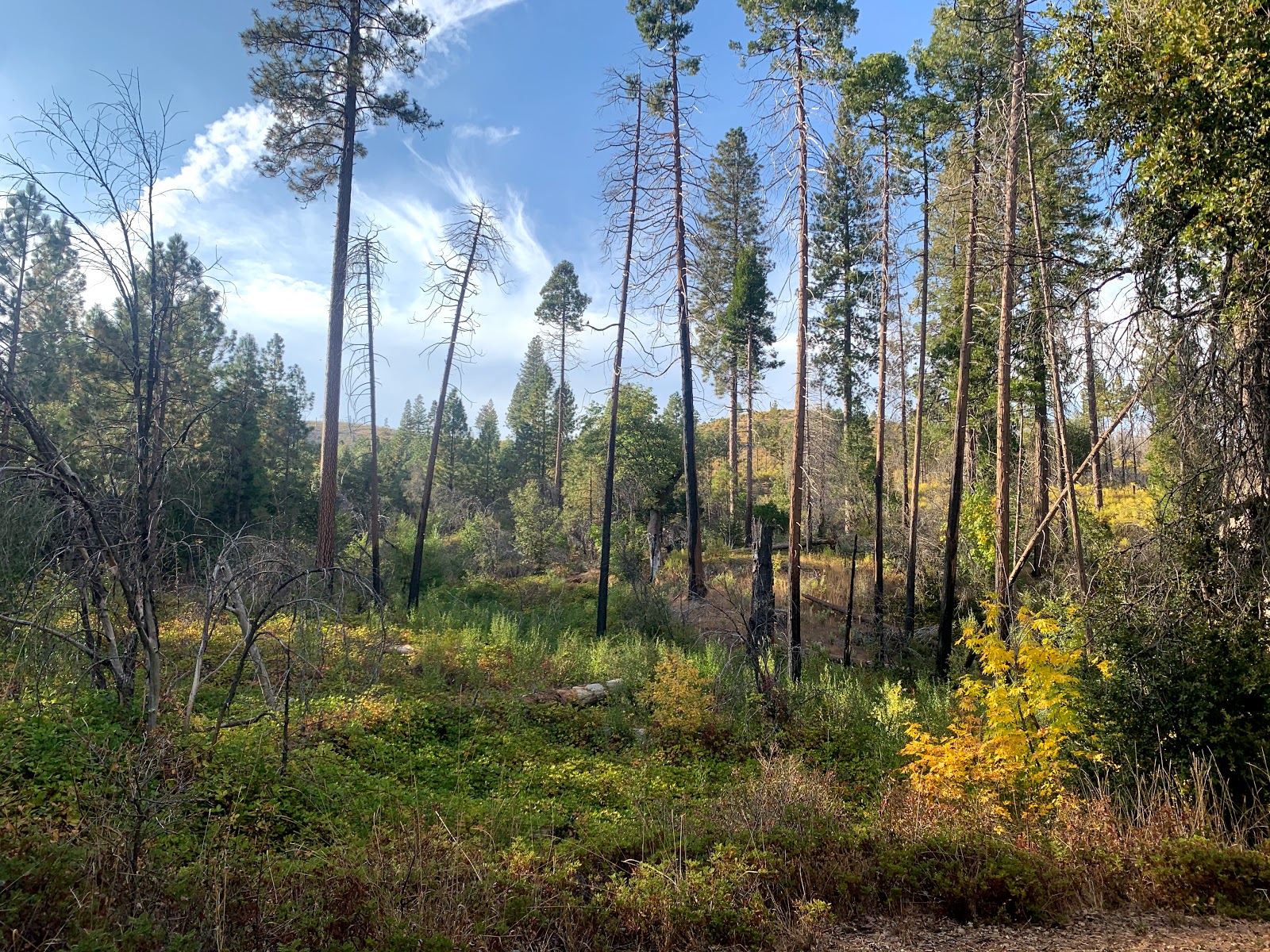 Lost Claim Campground