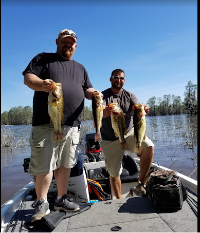 Lake Bistineau State Park
