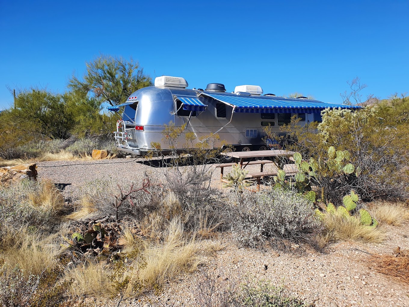 Gilbert Ray Campground Tucson Mountain Park