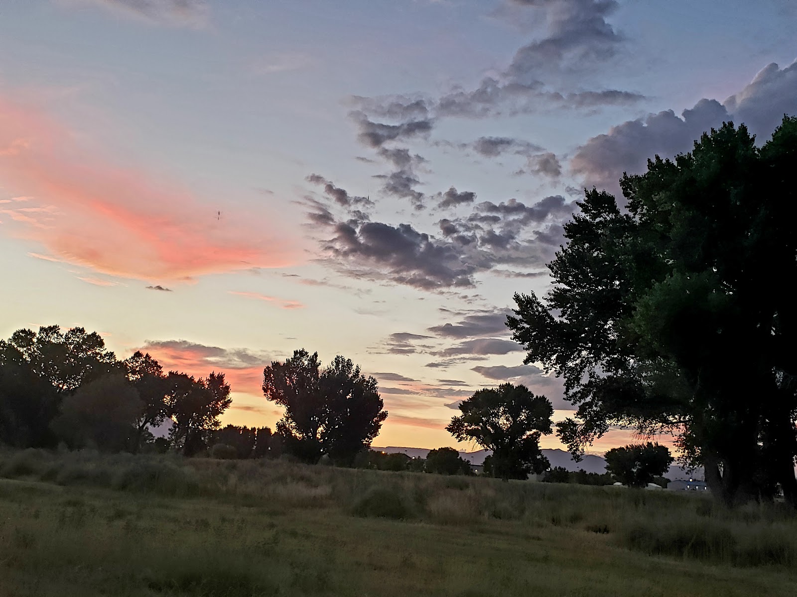 Shady Rest Trailer Park
