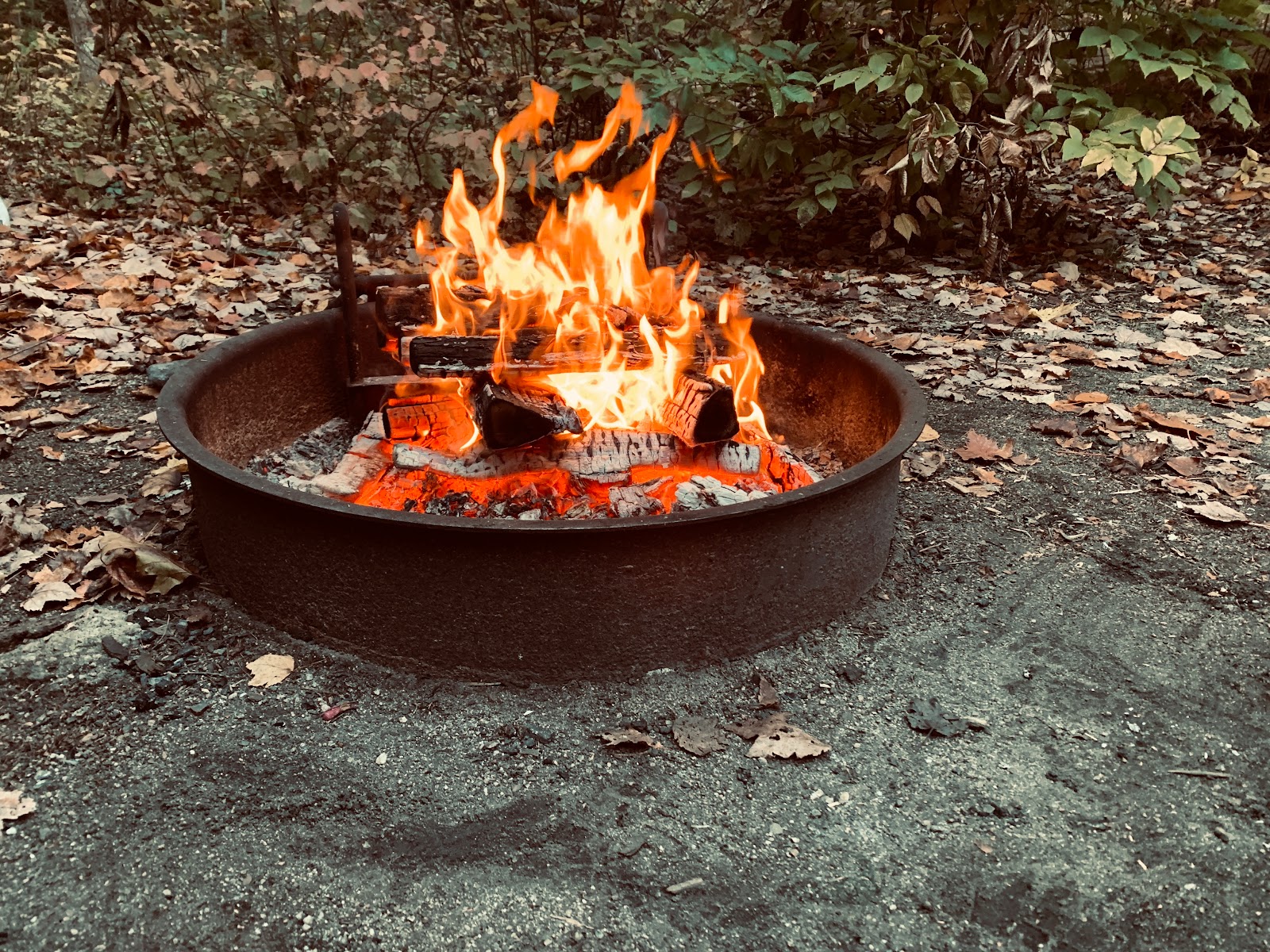 Greenfield State Park Campground