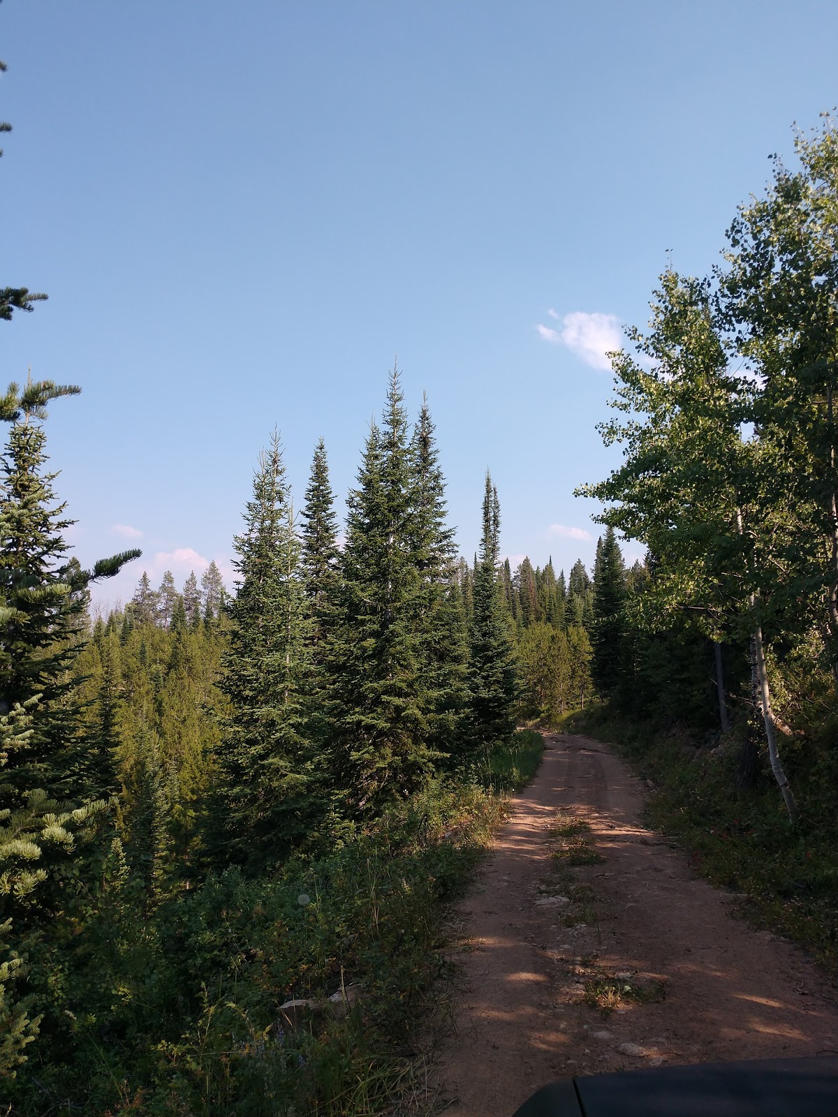 Gravel Creek Campground