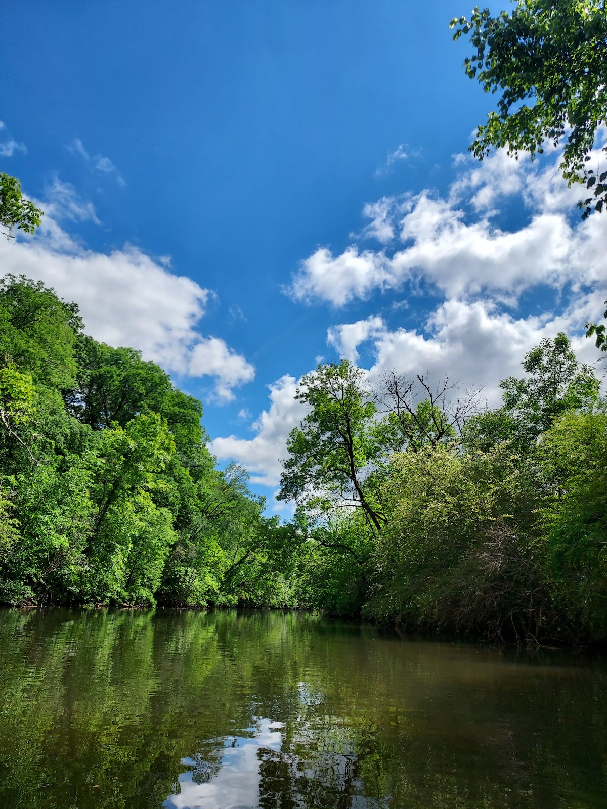 Cedar Creek RV Park & Outdoor Center