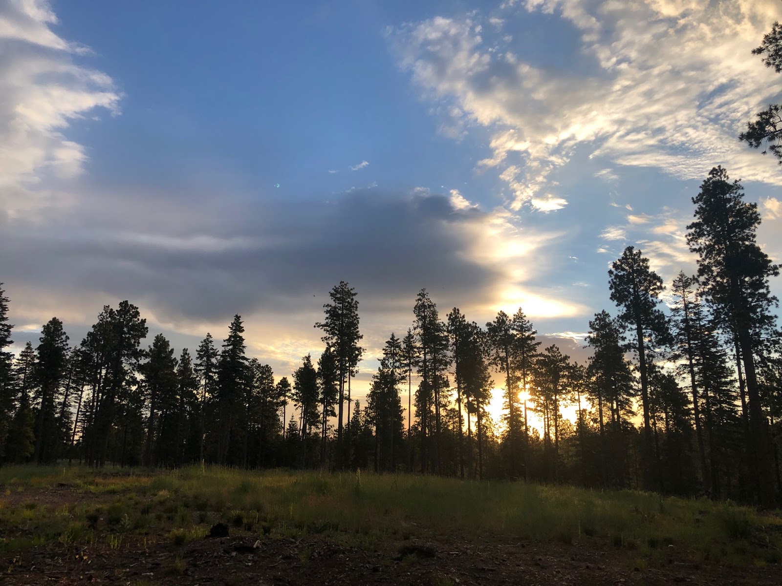 Bear Canyon Lake Campground