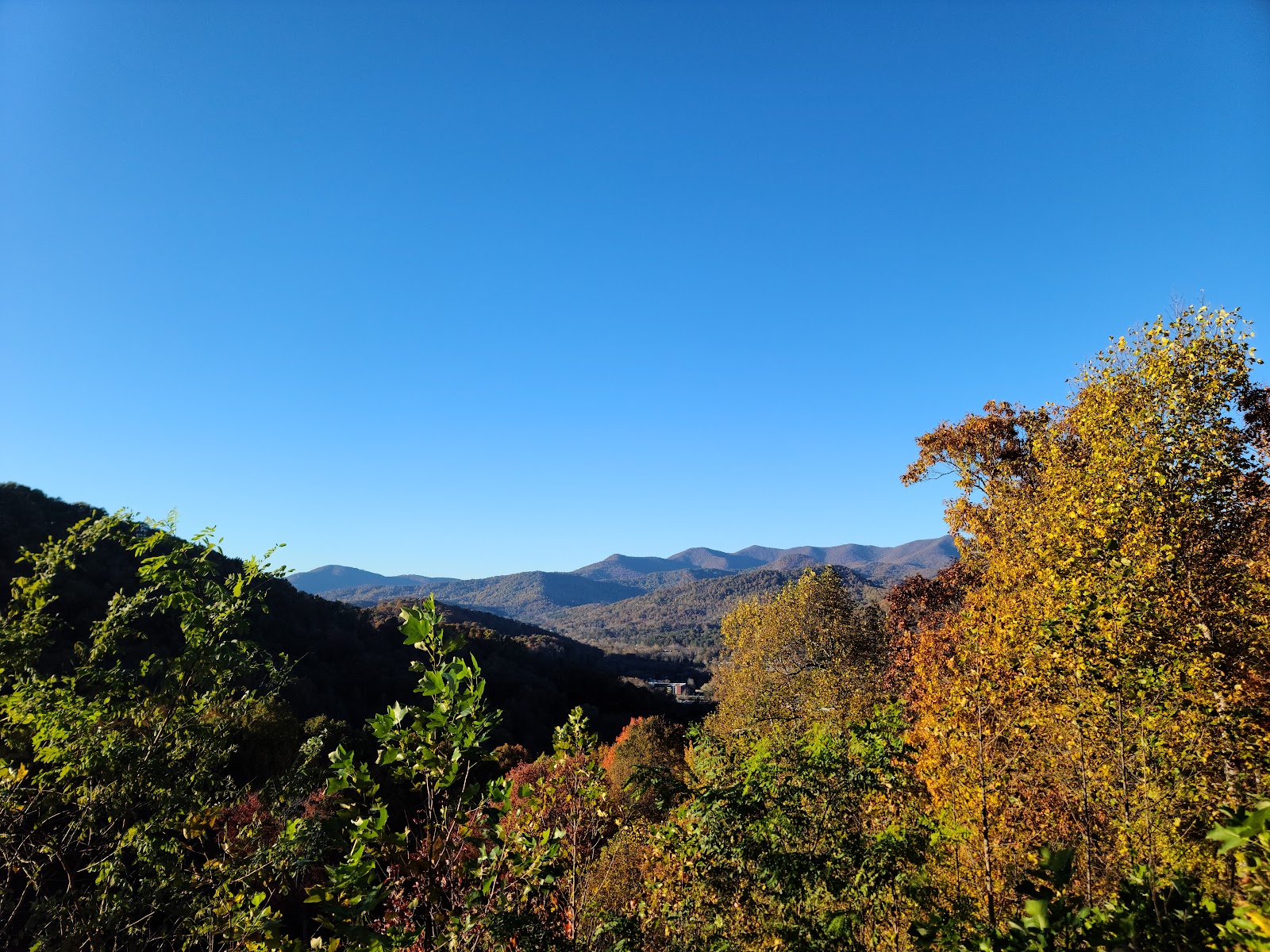 Mama Gertie's Hideaway Campground