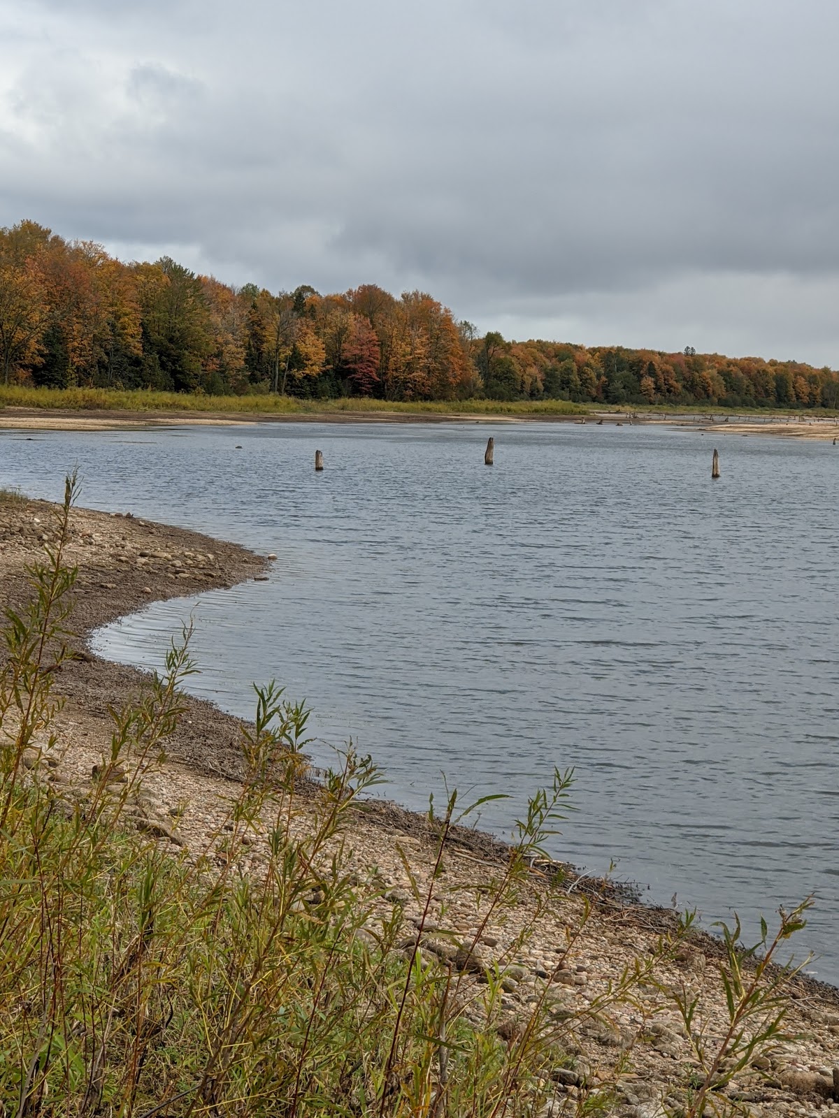 Forest Lake SF Campground