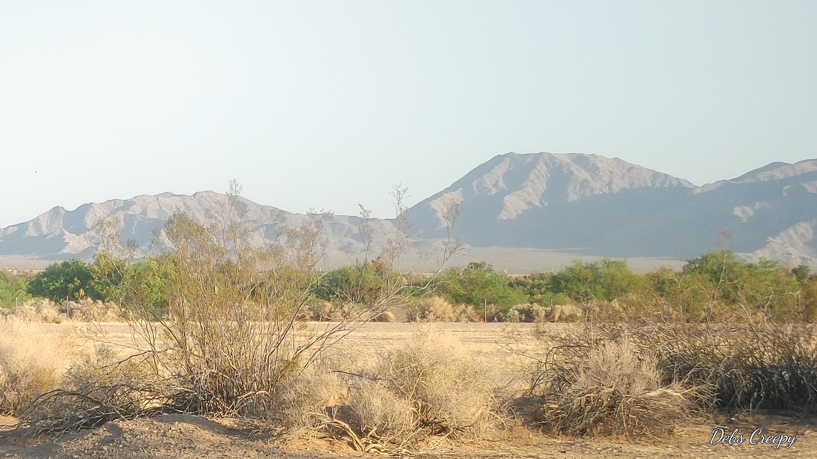 Centennial County Park
