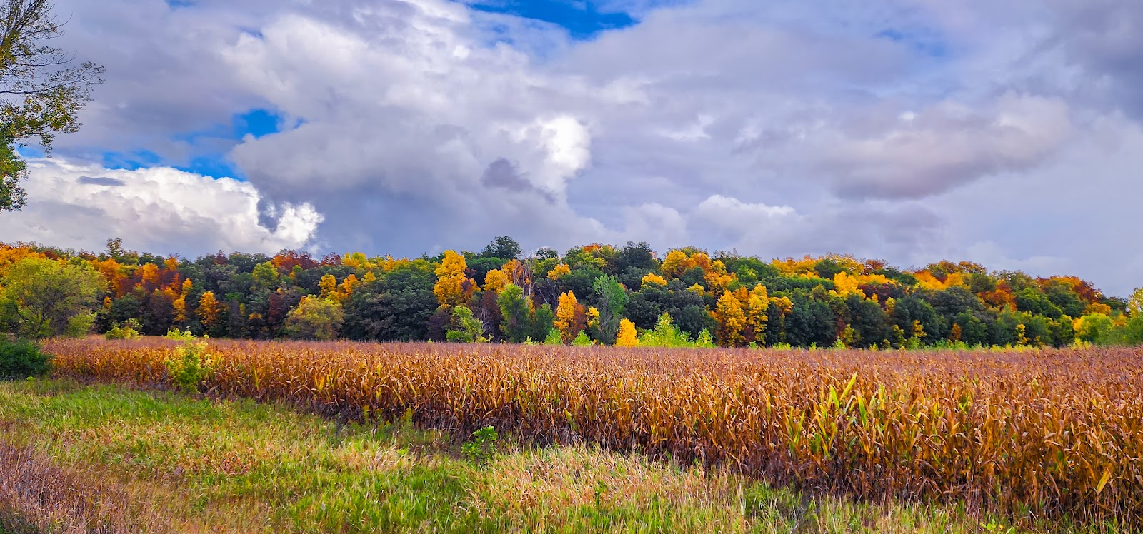 Hickory Hills Campground