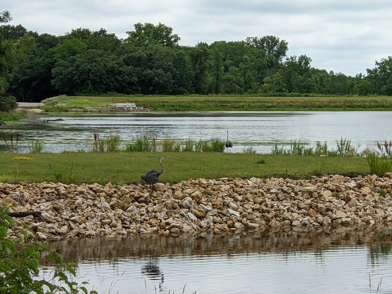 Family - Lake Le-Aqua-Na SRA