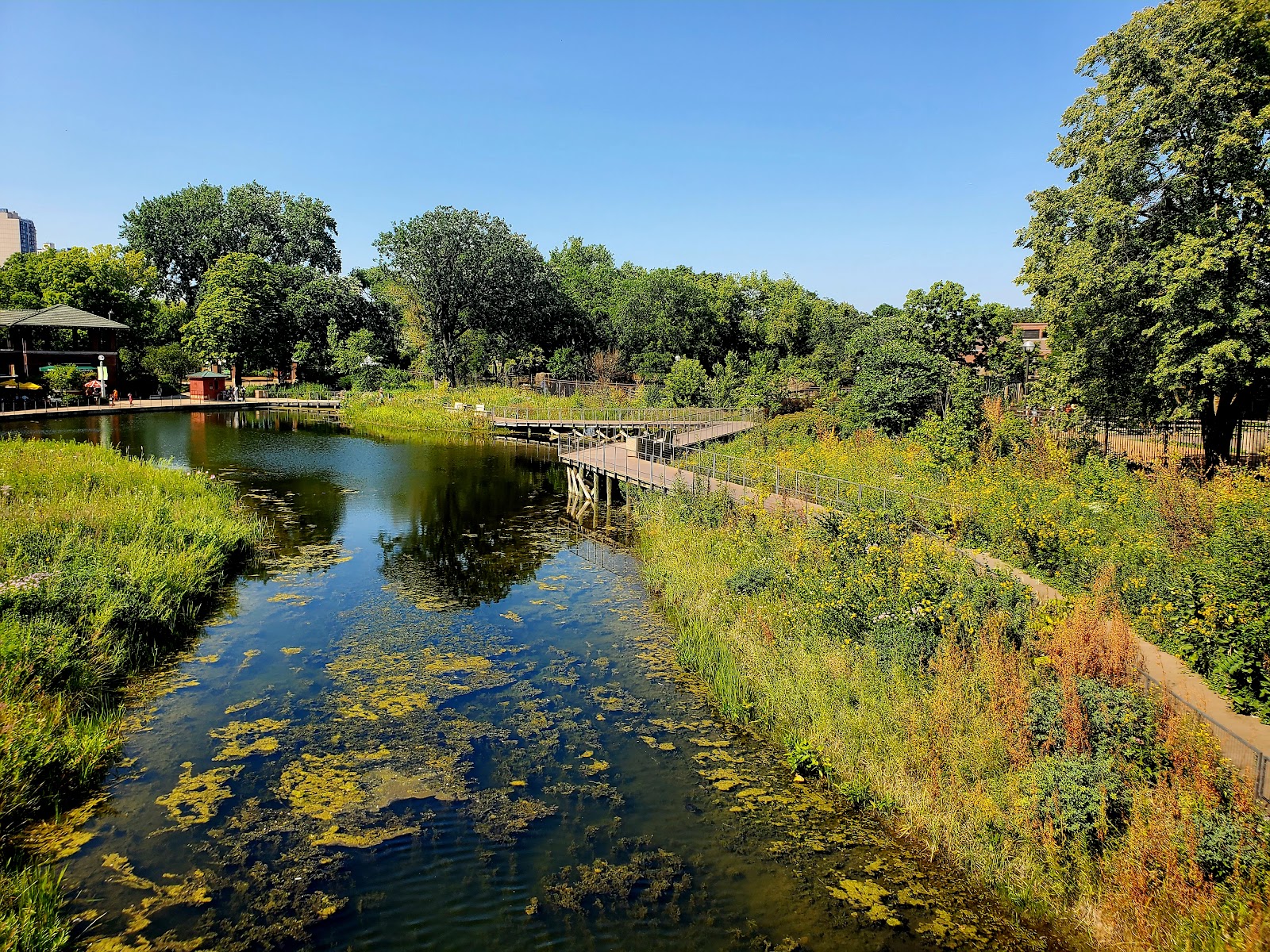 Nature Boardwalk at Lincoln Park Zoo