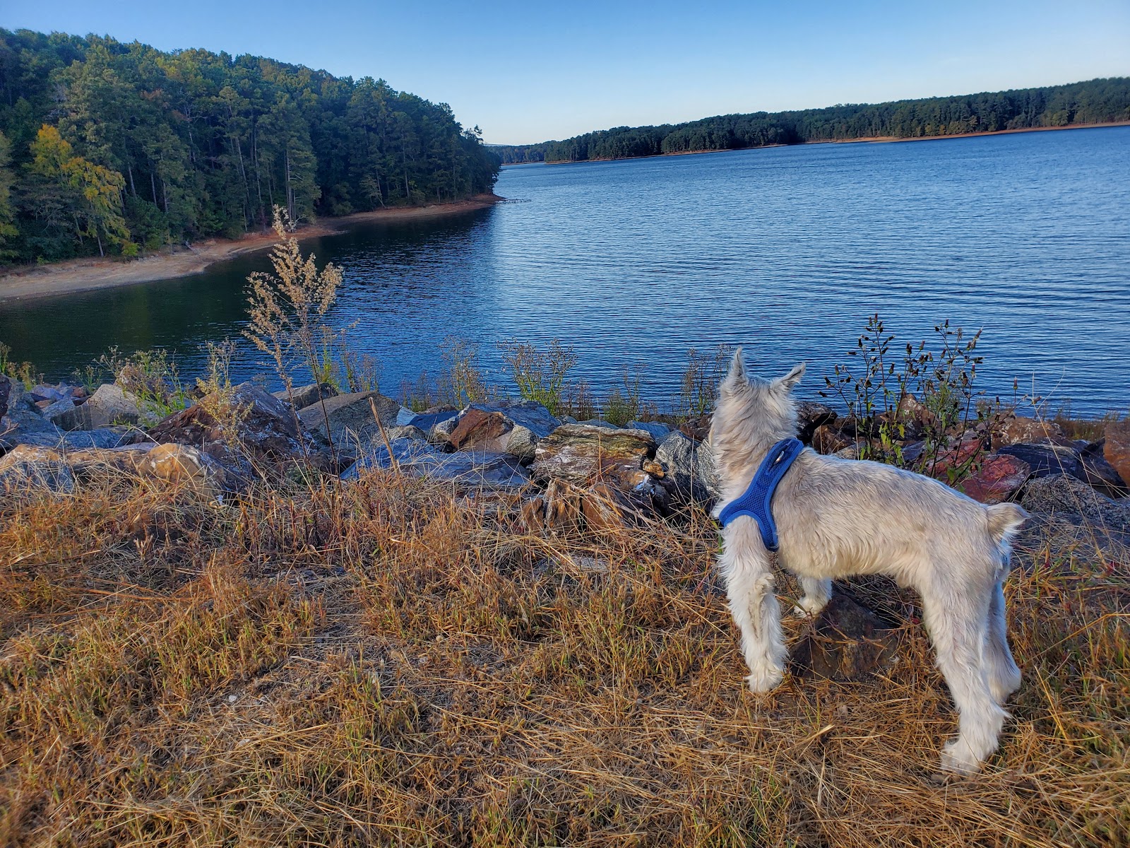 Allatoona Landing Marine Resort