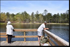 Sand Hills State Forest - Sugarloaf Mountain Recreation Area