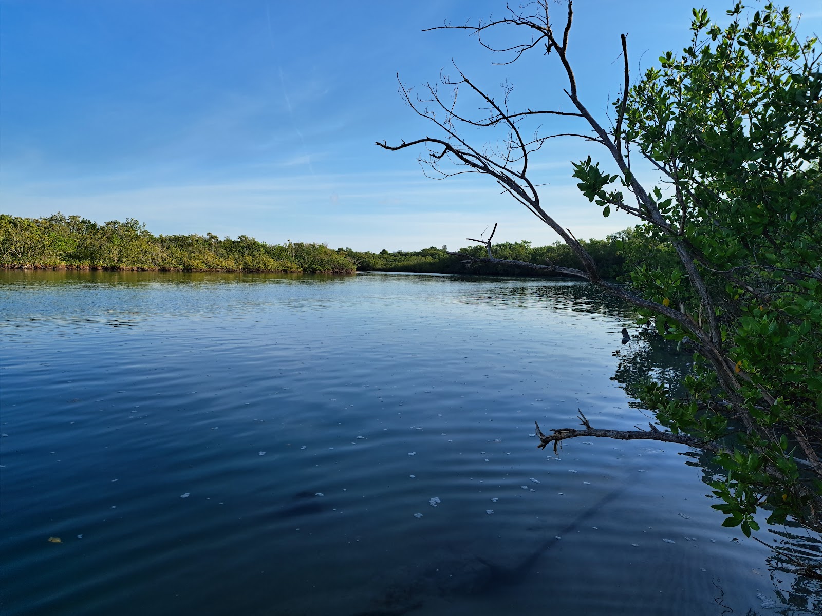 Fort Pierce Inlet State Park