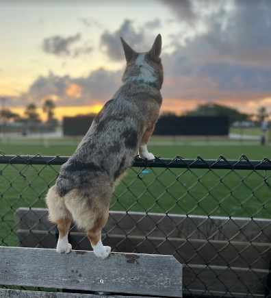 Southern Oaks Luxury RV Park