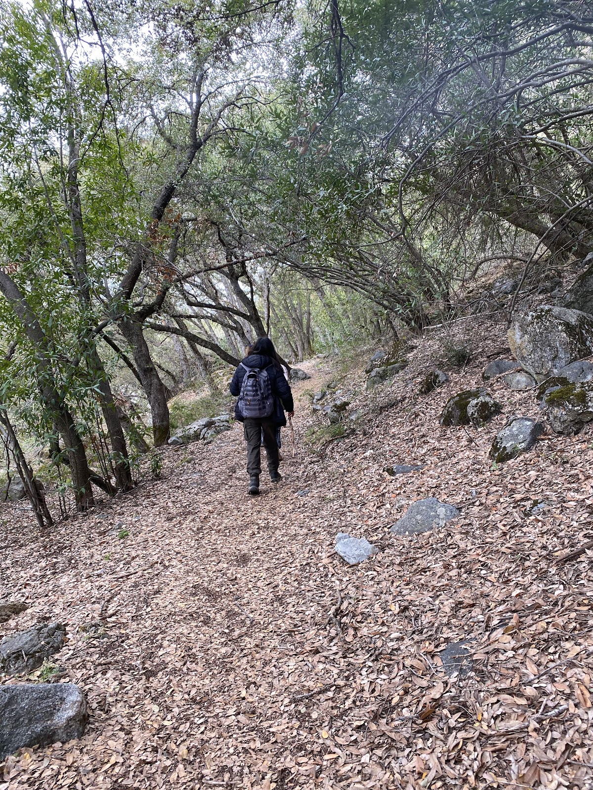 South Fork Campground - Sequoia National Park