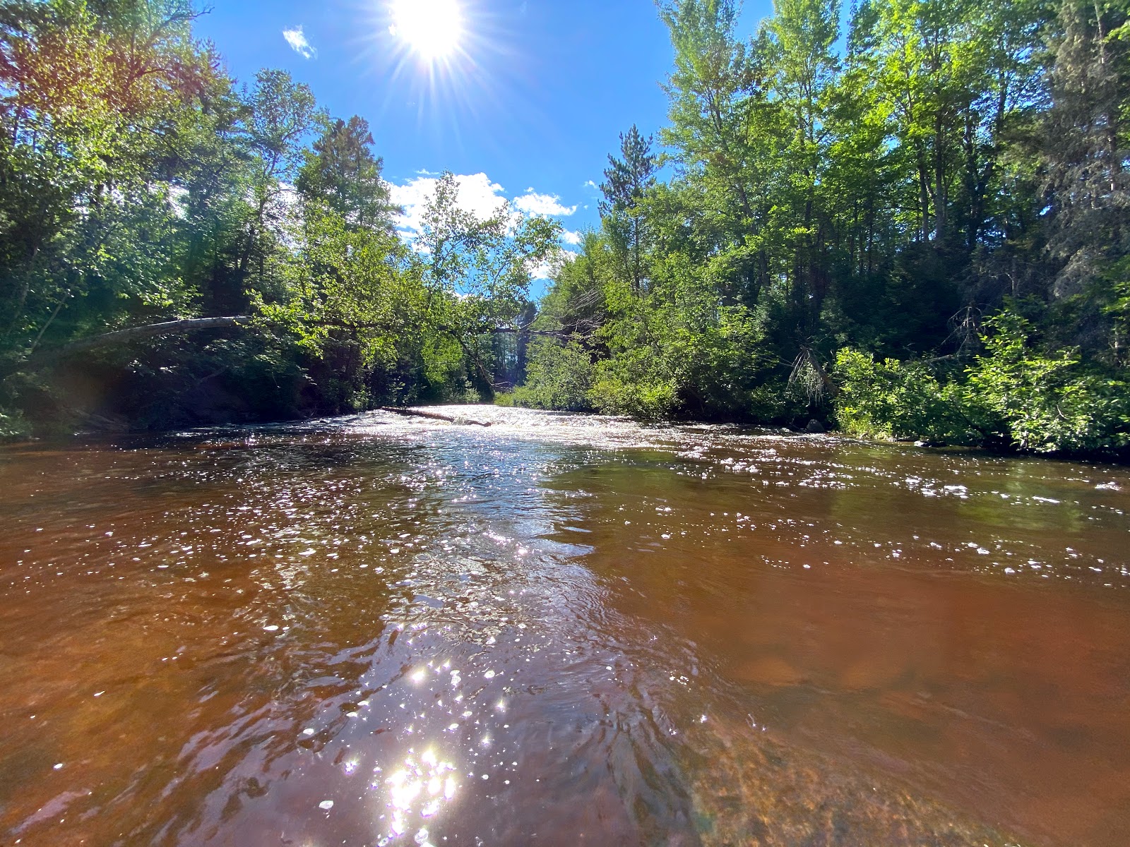 Sparrow Rapids NF Campground