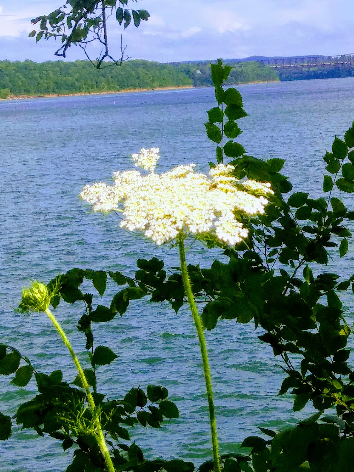 Waitsboro Recreation Area