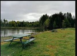 Peabody Creek RV Park