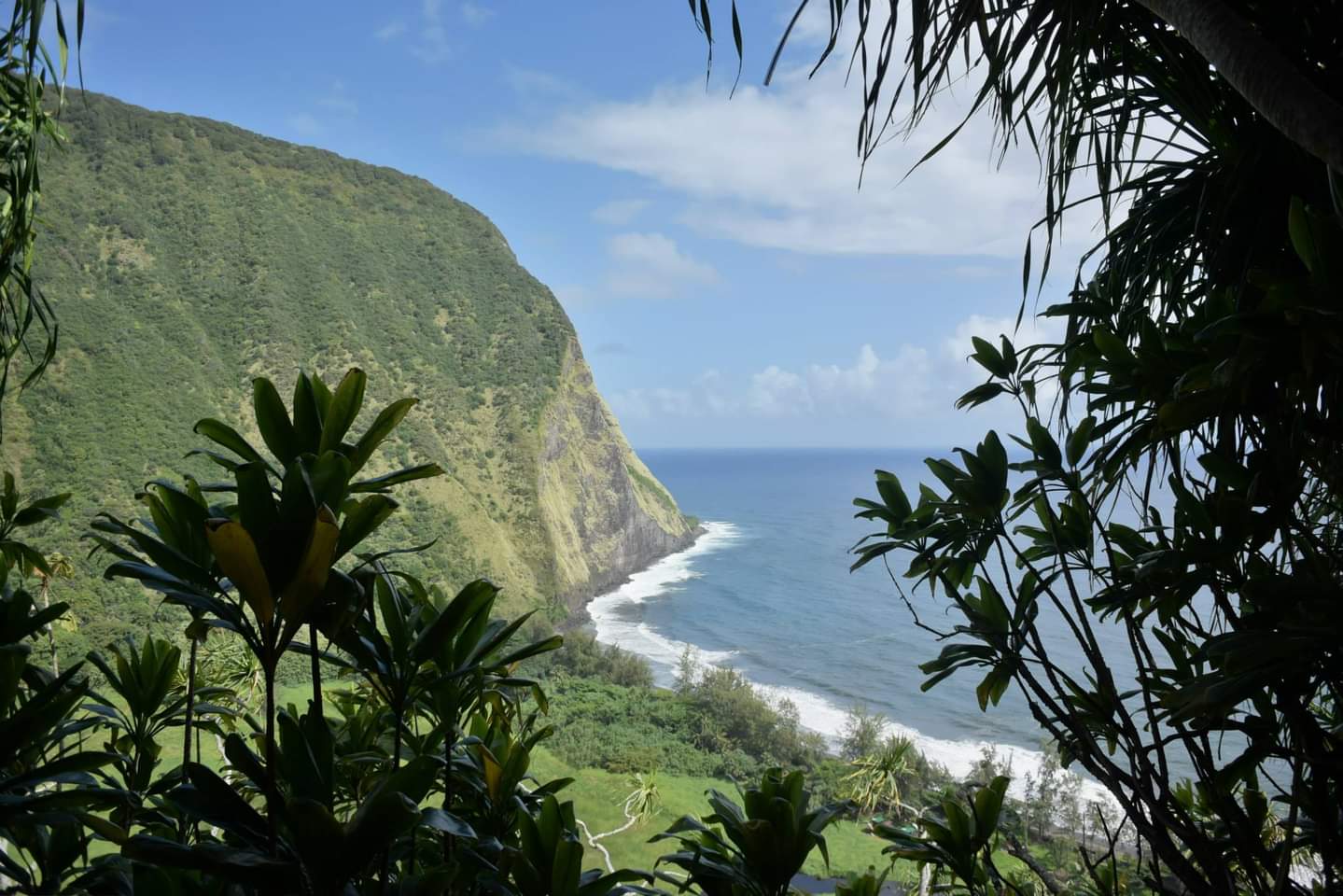 Waimanu Valley Campsite