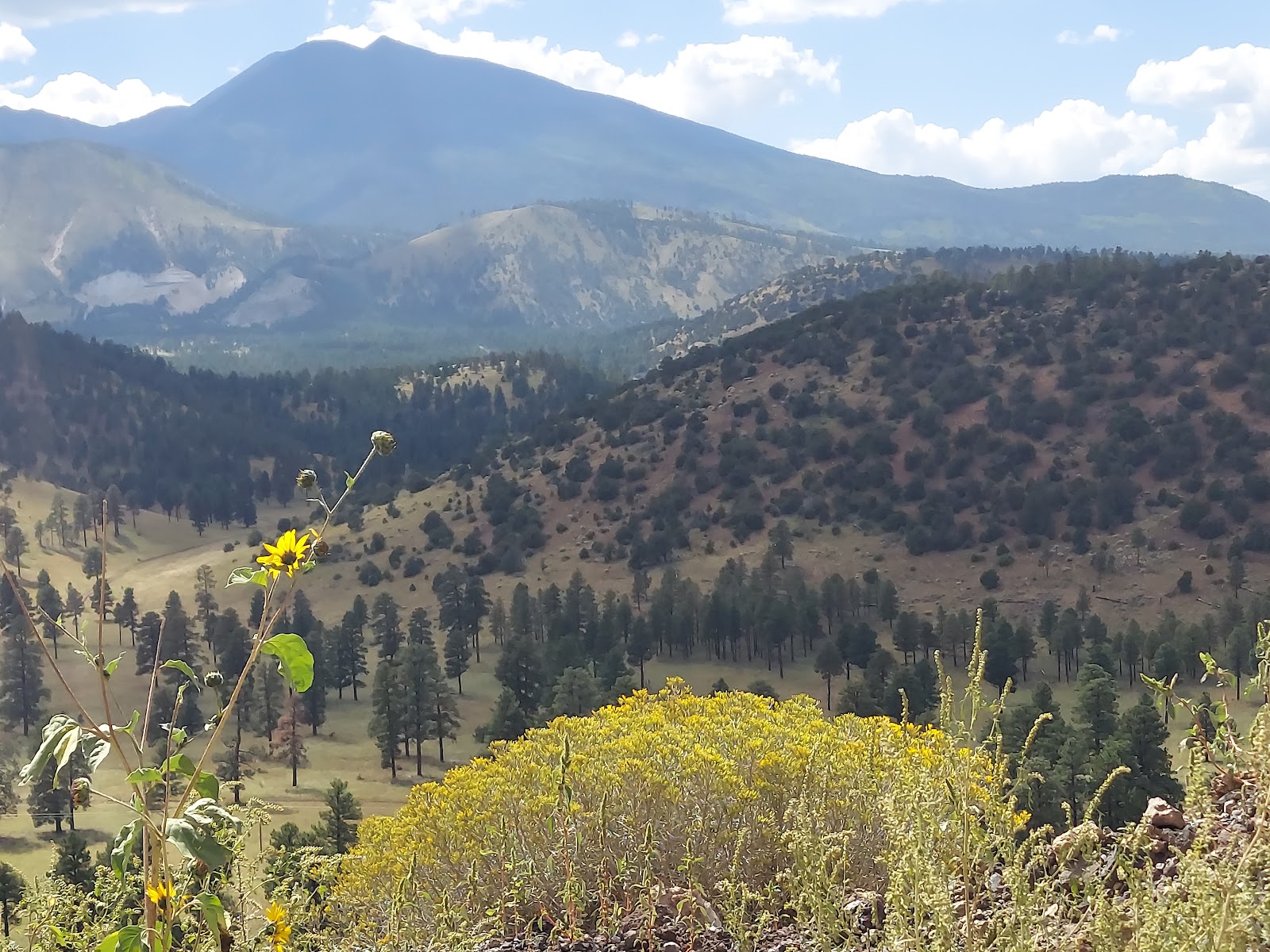 Lockett Meadow Campground