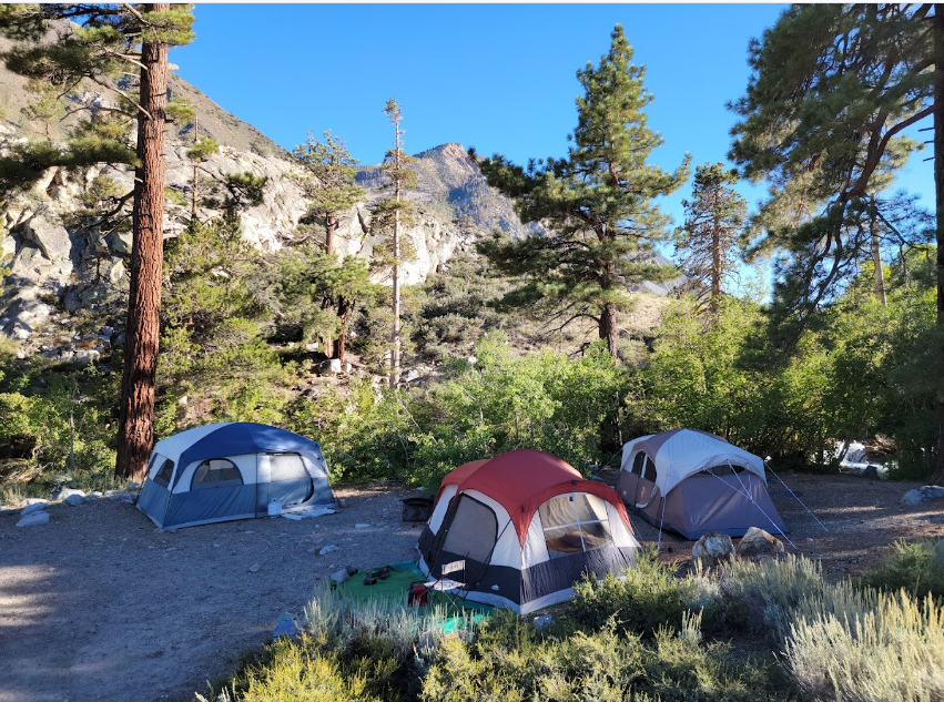 Bishop Park Campground (CA)