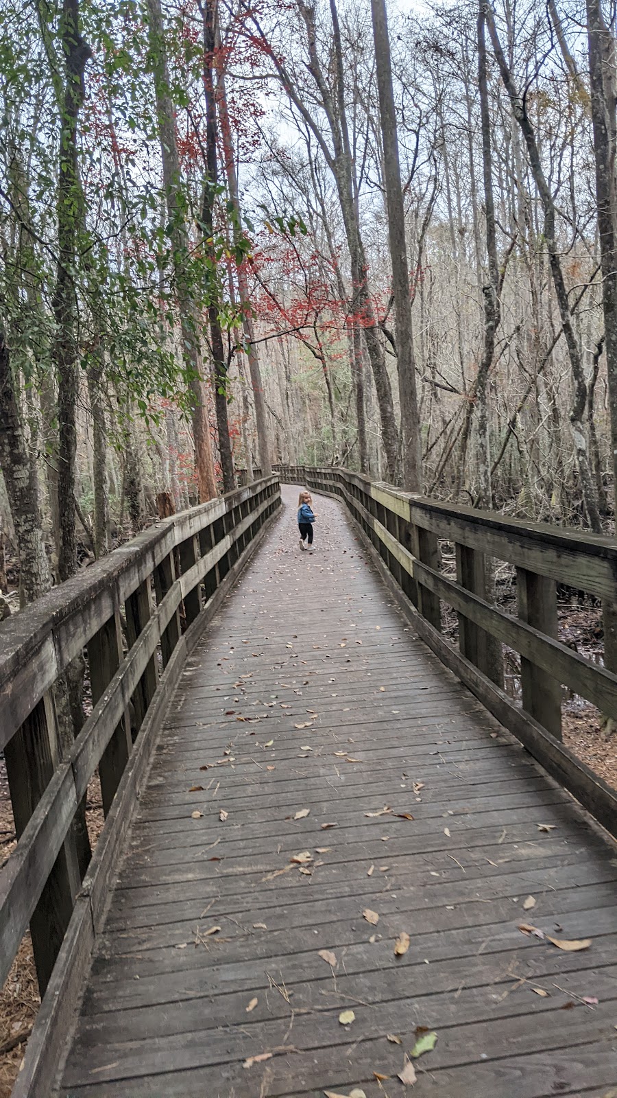 General Coffee State Park Campground