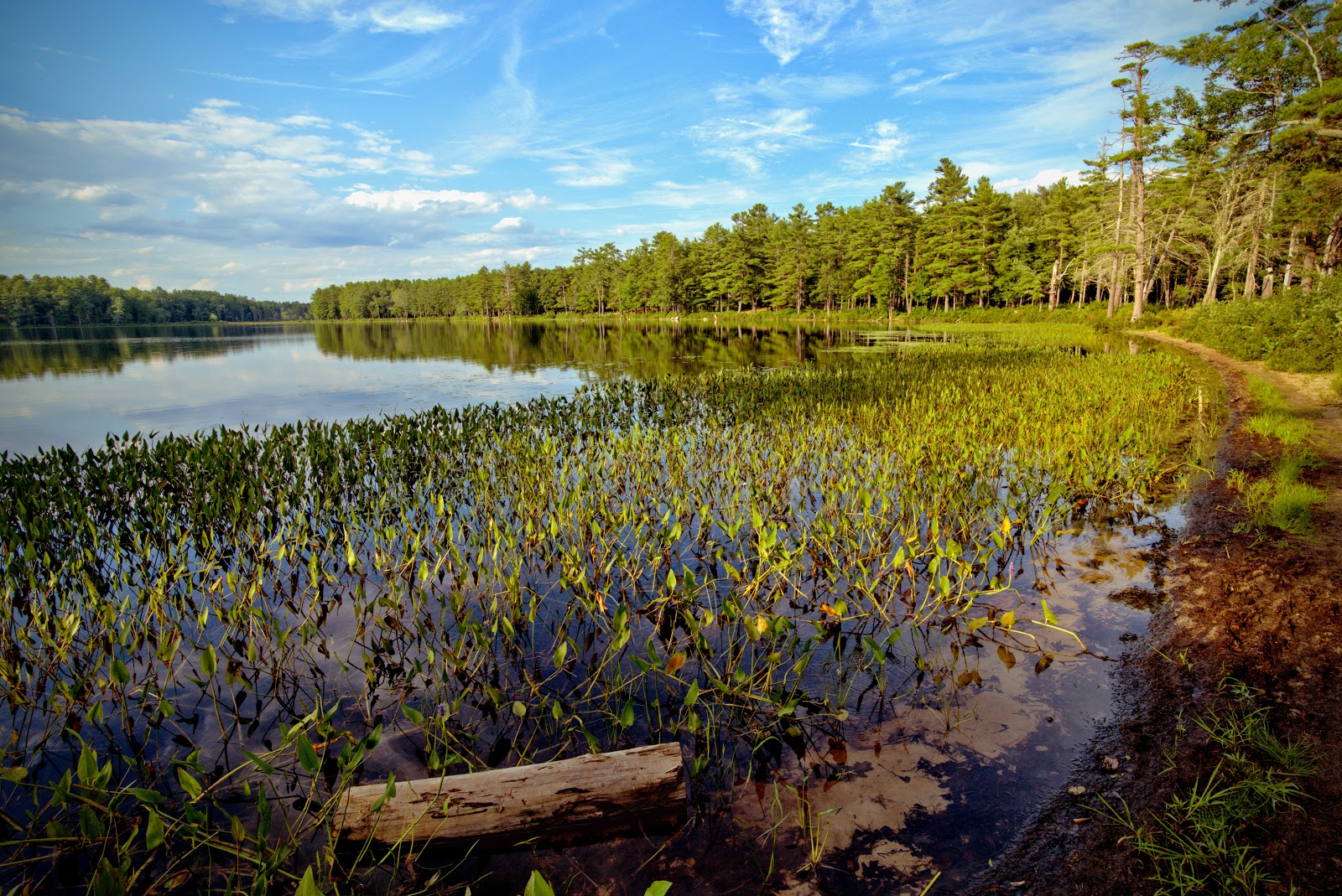 Lake Dennison State Rec Area